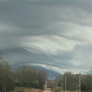 Meet your Posher, Shayla